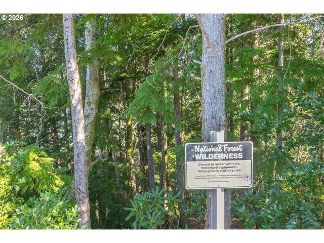 95300 GRASSY KNOB Rd, Sixes, OR 97476