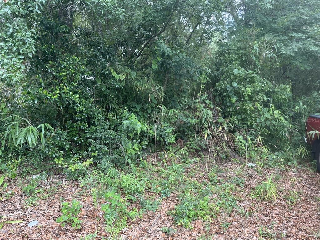 SE 4TH AVENUE, Gainesville, FL 32641