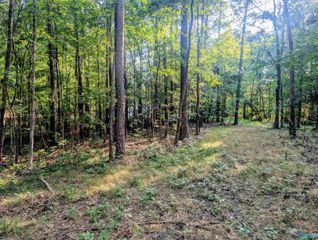 Lot 37 County Road 683, Cedar Bluff, AL 35959