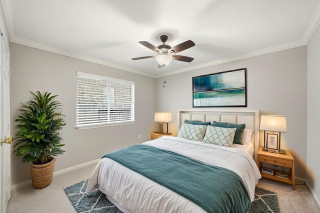 10303 Antelope Alley, Missouri City, TX 77459