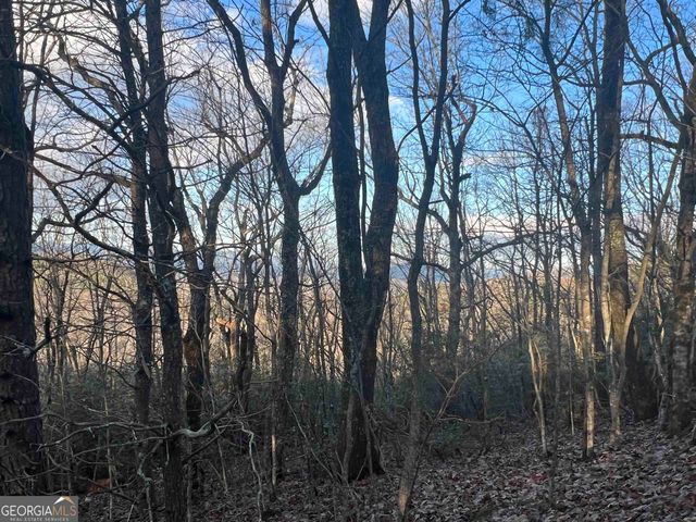 0 Daybreak Road, Cleveland, GA 30528