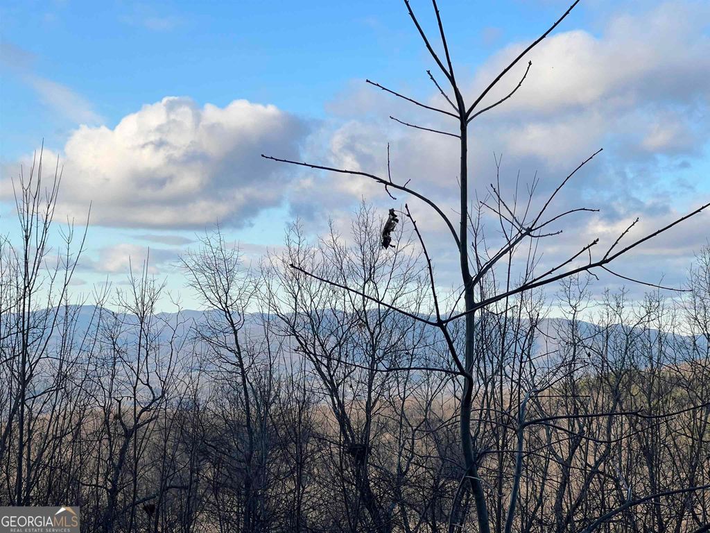 0 Daybreak Road, Cleveland, GA 30528