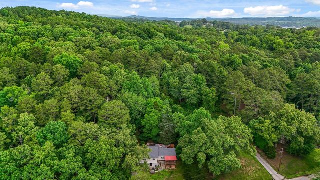 16211 Lakewood Drive, Sale Creek, TN 37373