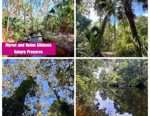 LITHIA PINECREST ROAD, Valrico, FL 33596