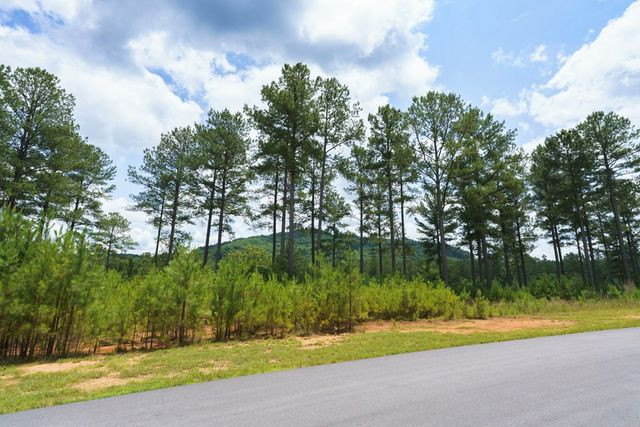 Lot 343 Loop Lane, Blairsville, GA 30512