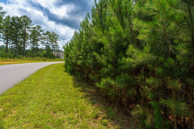 Lot 343 Loop Lane, Blairsville, GA 30512