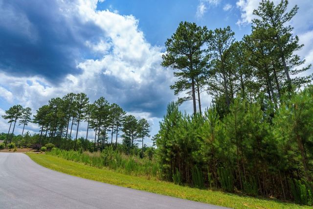 Lot 343 Loop Lane, Blairsville, GA 30512