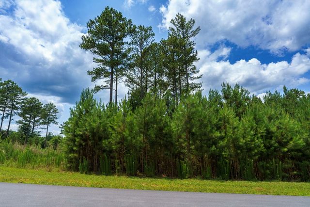 Lot 343 Loop Lane, Blairsville, GA 30512
