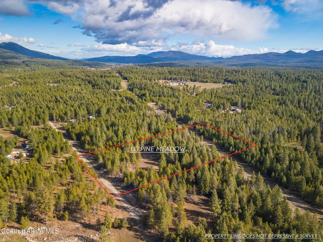 133 Pine MDW, Athol, ID 83801