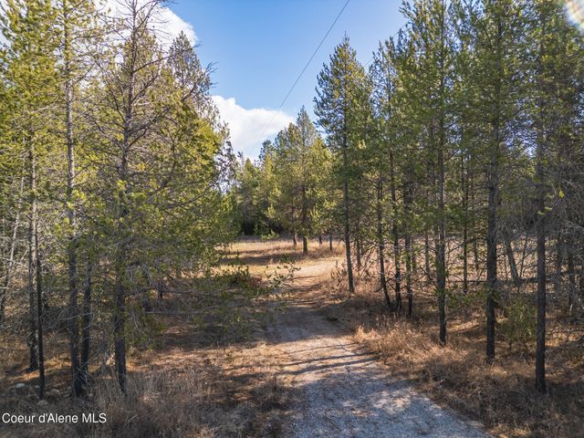 133 Pine MDW, Athol, ID 83801