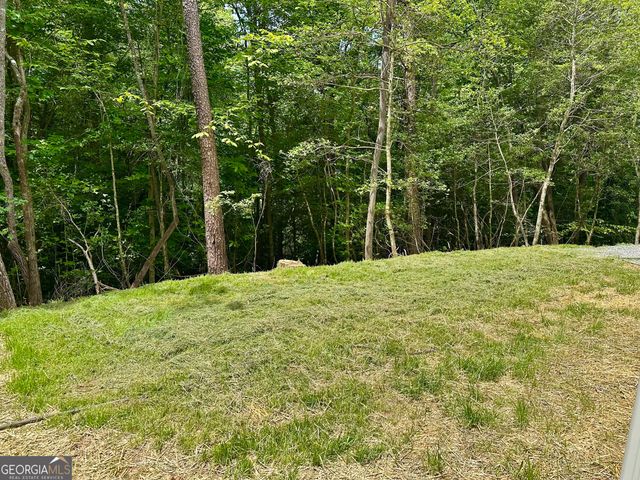 101 Sawyer Ridge Lane, Hayesville, NC 28904