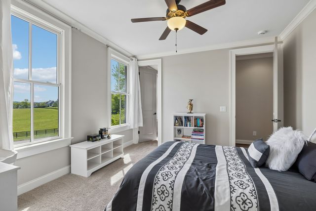 6033 Native Pony Trl, College Grove, TN 37046