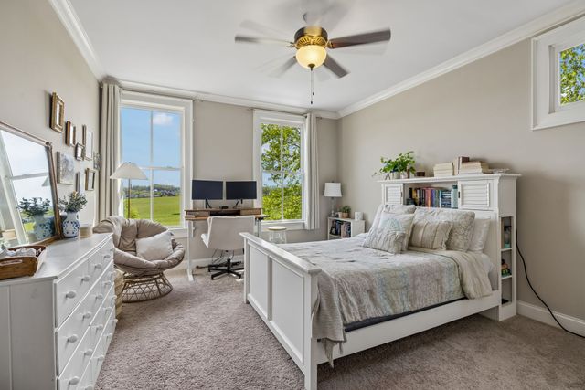 6033 Native Pony Trl, College Grove, TN 37046