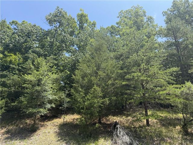 821 Rocky Cove Lane, Denton, NC 27239