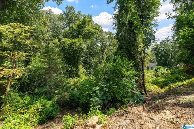 3546 LENOX ROAD, Birmingham, AL 35213