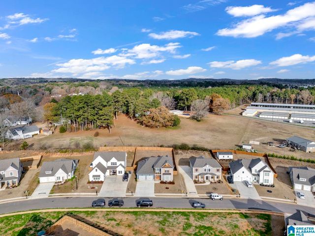 455 AVONDALE LANE, Pell City, AL 35128