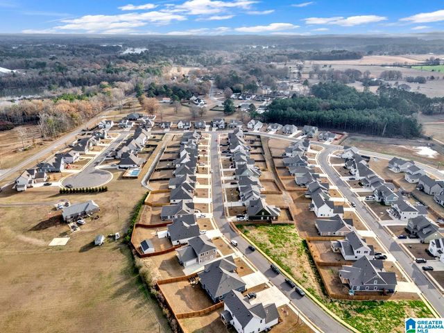 455 AVONDALE LANE, Pell City, AL 35128