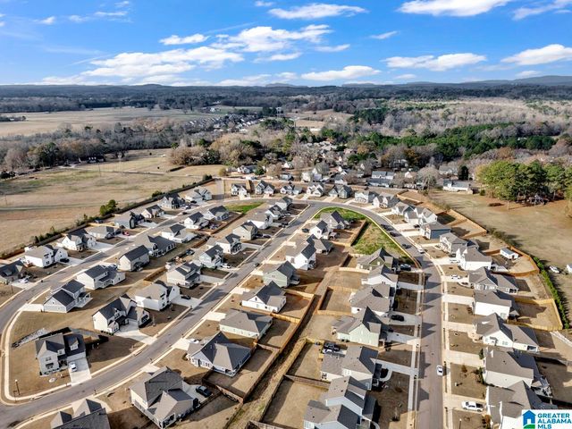 455 AVONDALE LANE, Pell City, AL 35128