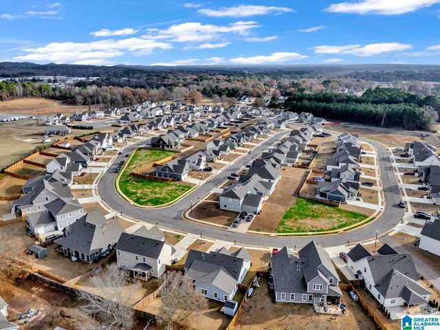 455 AVONDALE LANE, Pell City, AL 35128