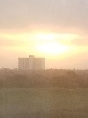 500 Ferry Road 432D, Galveston, TX 77550