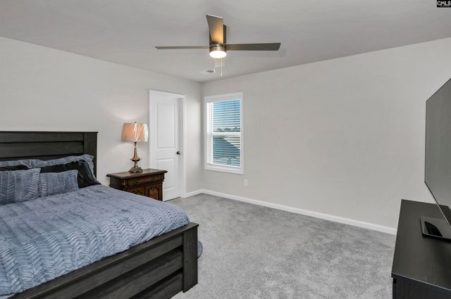 531 Rhine Falls Lane, Blythewood, SC 29016