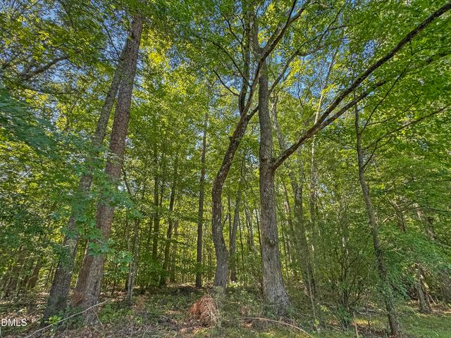 380 Mt View Church Road, Moncure, NC 27559