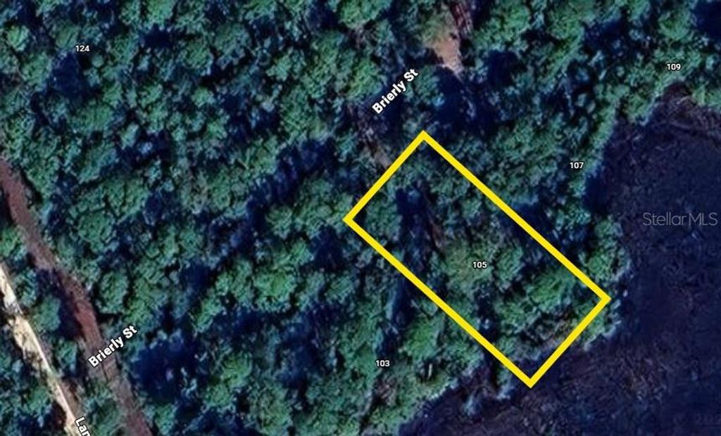 105 BRIERLY STREET, Georgetown, FL 32139