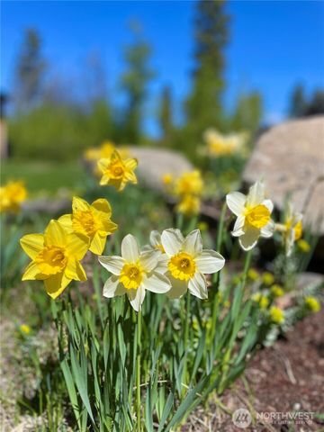 197 Cameron Lake Loop Road, Okanogan, WA 98840