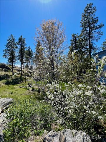 197 Cameron Lake Loop Road, Okanogan, WA 98840