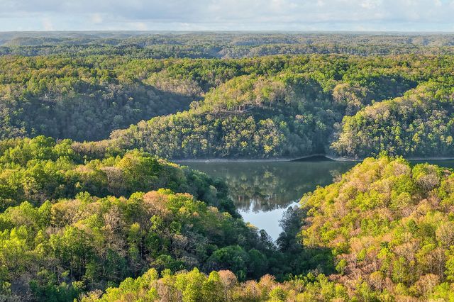 3820 Jefferson Rd, Smithville, TN 37166