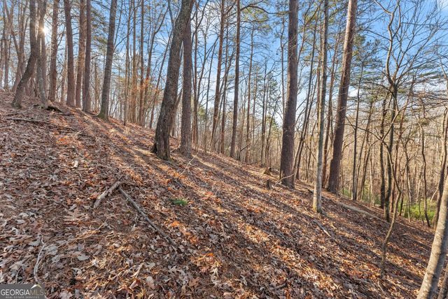 0 Golden Lot 1 Avenue, Dahlonega, GA 30533
