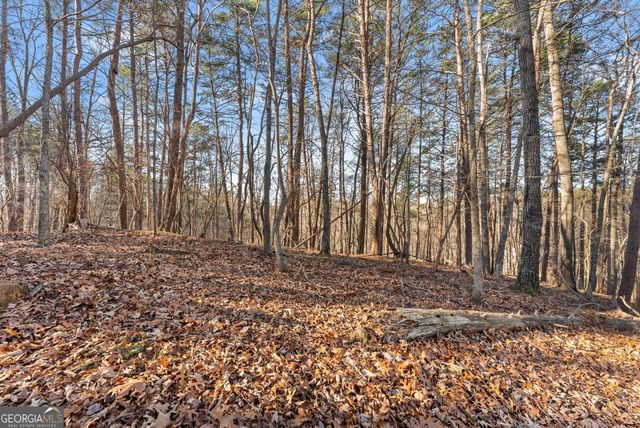 0 Golden Lot 1 Avenue, Dahlonega, GA 30533