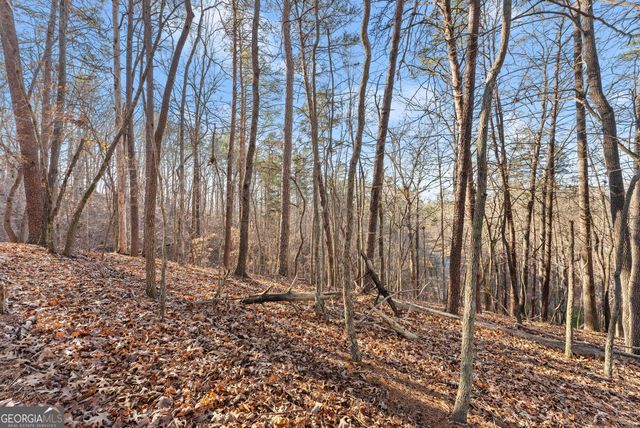 0 Golden Lot 1 Avenue, Dahlonega, GA 30533