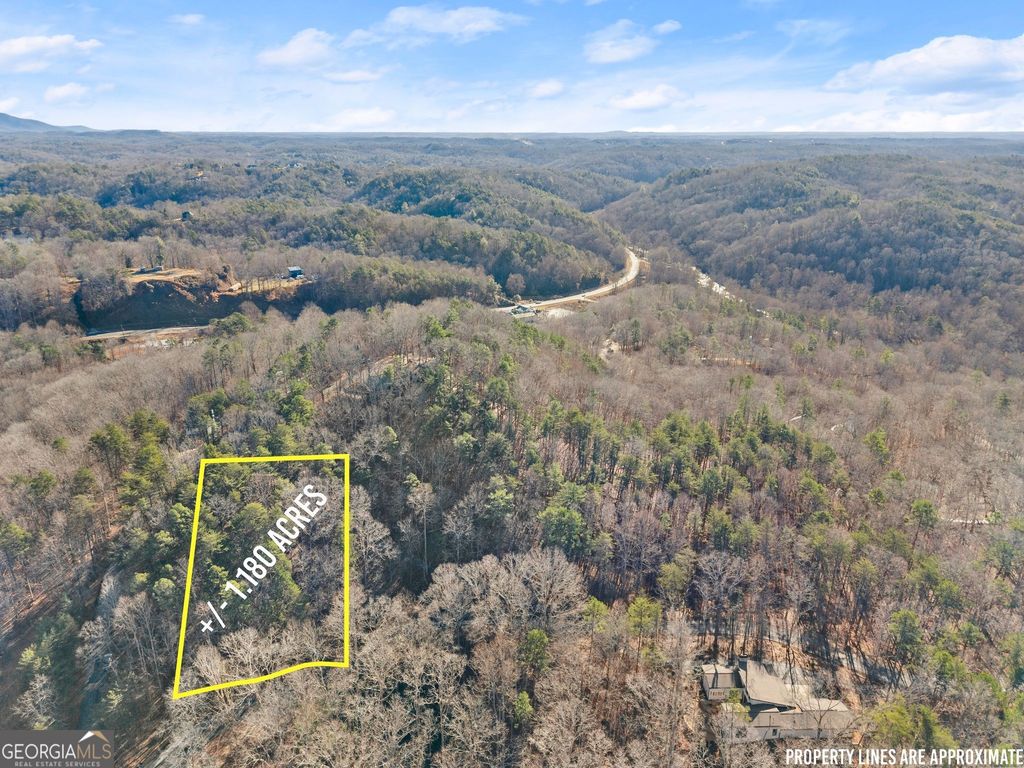 0 Golden Lot 1 Avenue, Dahlonega, GA 30533