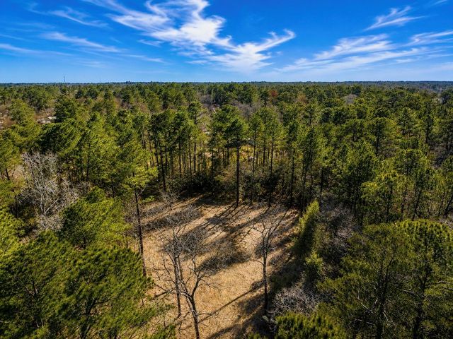 17819 Indigo Hills Drive, Magnolia, TX 77355