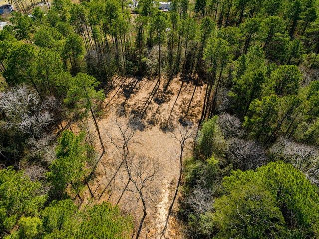 17819 Indigo Hills Drive, Magnolia, TX 77355