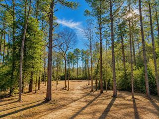 17819 Indigo Hills Drive, Magnolia, TX 77355