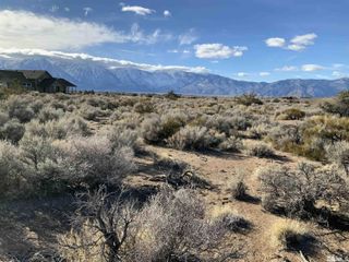 1290 Jo Lane, Gardnerville, NV 89410
