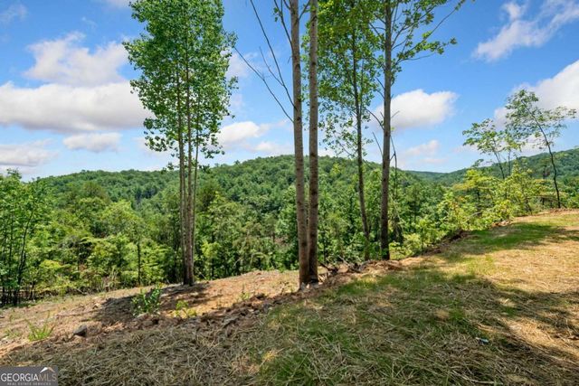 1374 Foxhound Trail NE, Ranger, GA 30734