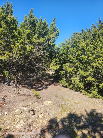 1005 Overhill Drive, Cleburne, TX 76033