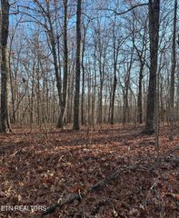 142 Hamlet Drive, Crossville, TN 38558