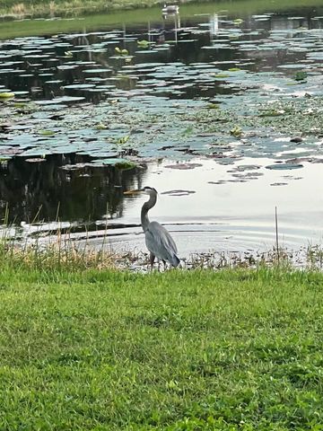 1605 S Club Drive, Wellington, FL 33414