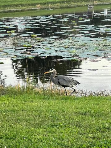 1605 S Club Drive, Wellington, FL 33414