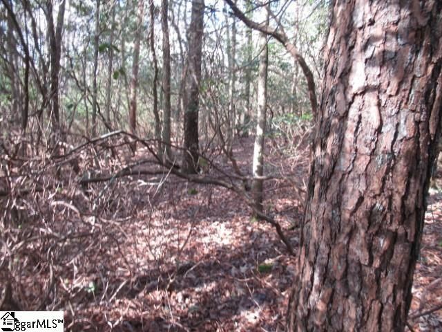 15 Matthews Creek Lane, Cleveland, SC 29635