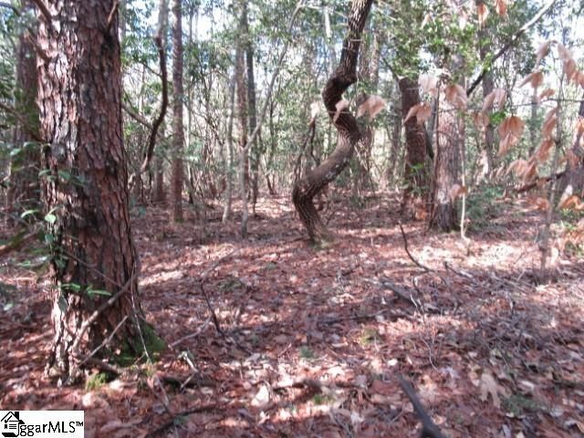 15 Matthews Creek Lane, Cleveland, SC 29635