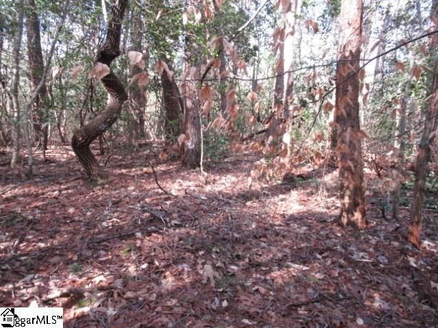 15 Matthews Creek Lane, Cleveland, SC 29635