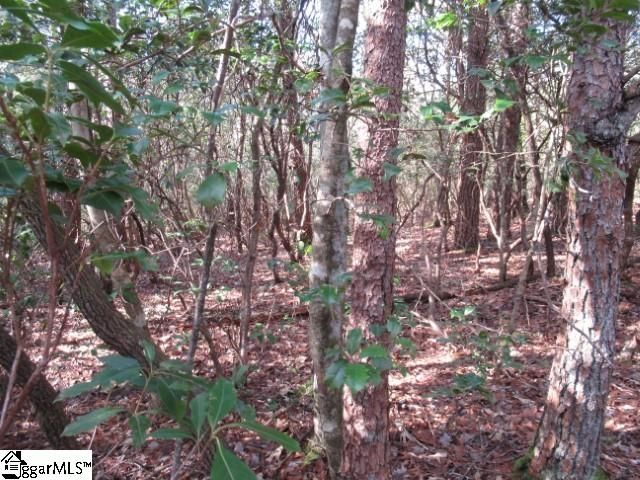 15 Matthews Creek Lane, Cleveland, SC 29635