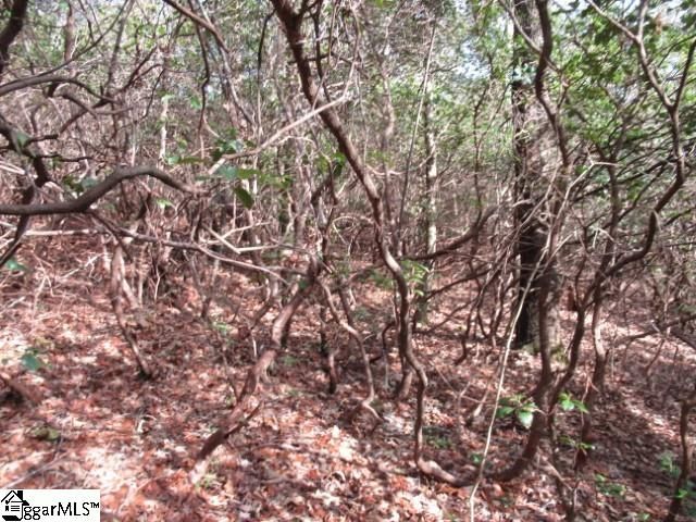 15 Matthews Creek Lane, Cleveland, SC 29635