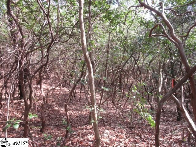 15 Matthews Creek Lane, Cleveland, SC 29635