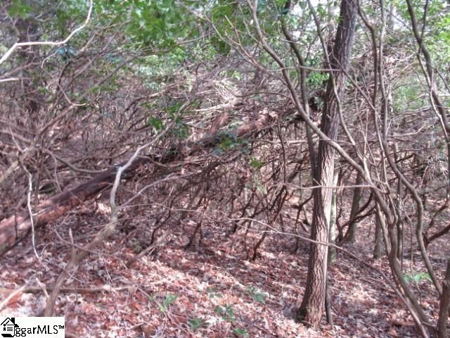 15 Matthews Creek Lane, Cleveland, SC 29635